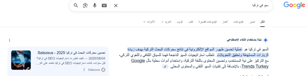 شركة سيو في تركيا